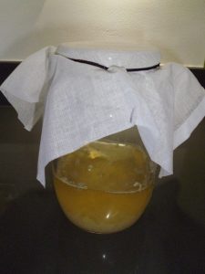 Water Kefir
